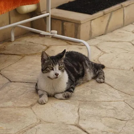 Joanna's Place At Bayview לימסול